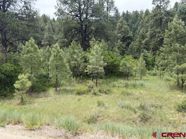 2321 Loma Linda Drive Pagosa Springs, CO 81147