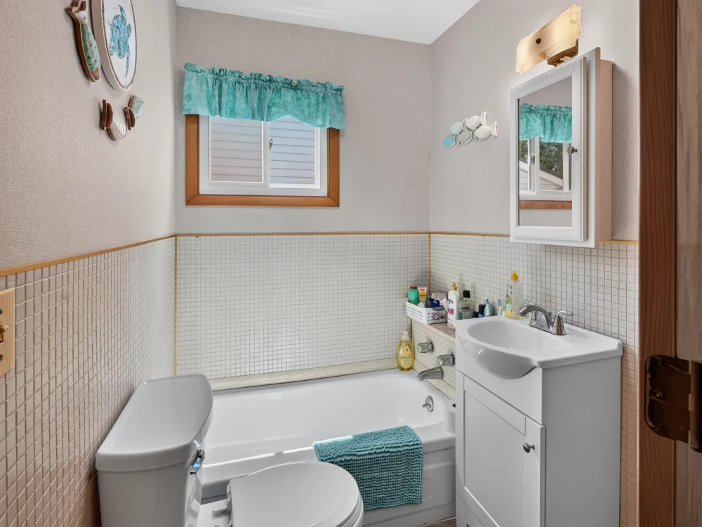 10041 Birch Drive Ferris Township, MI 48877