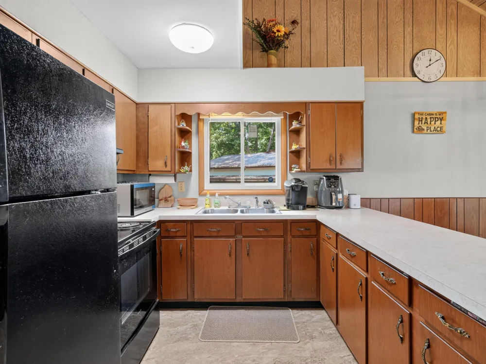 10041 Birch Drive Ferris Township, MI 48877