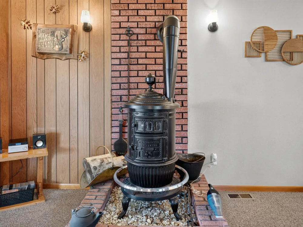 10041 Birch Drive Ferris Township, MI 48877