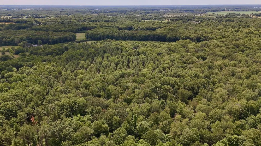 10041 Birch Drive Ferris Township, MI 48877