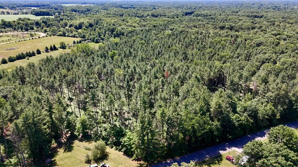 10041 Birch Drive Ferris Township, MI 48877