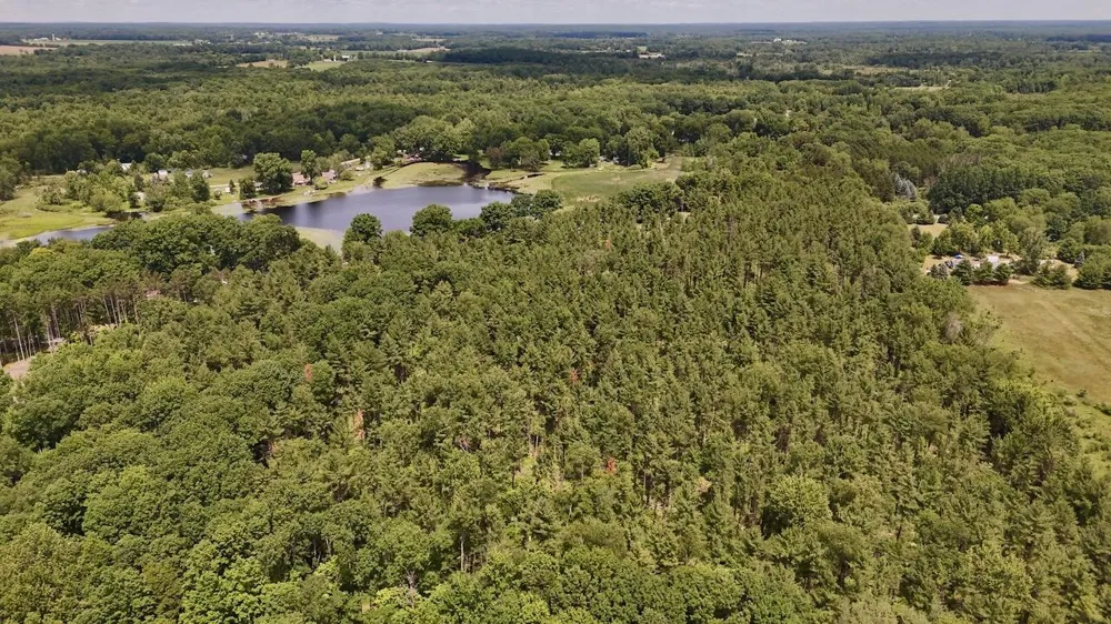 10041 Birch Drive Ferris Township, MI 48877
