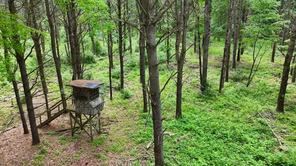 10041 Birch Drive Ferris Township, MI 48877