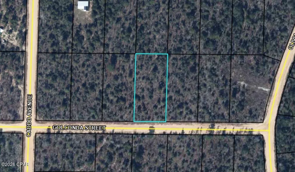 Golconda Street Alford, FL 32420