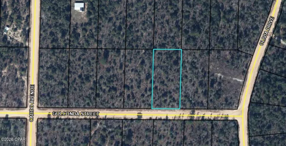 Golconda Street Alford, FL 32420
