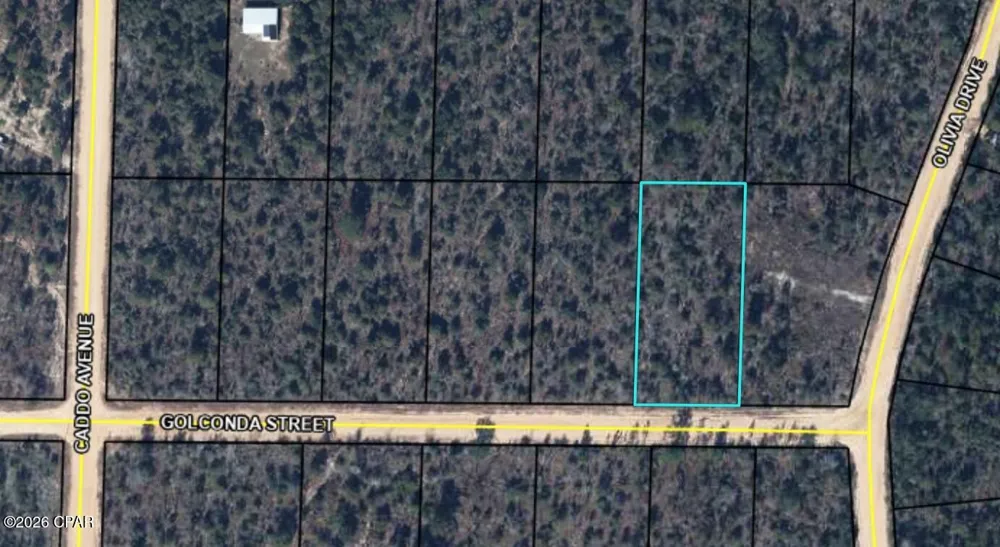 Golconda Street Alford, FL 32420
