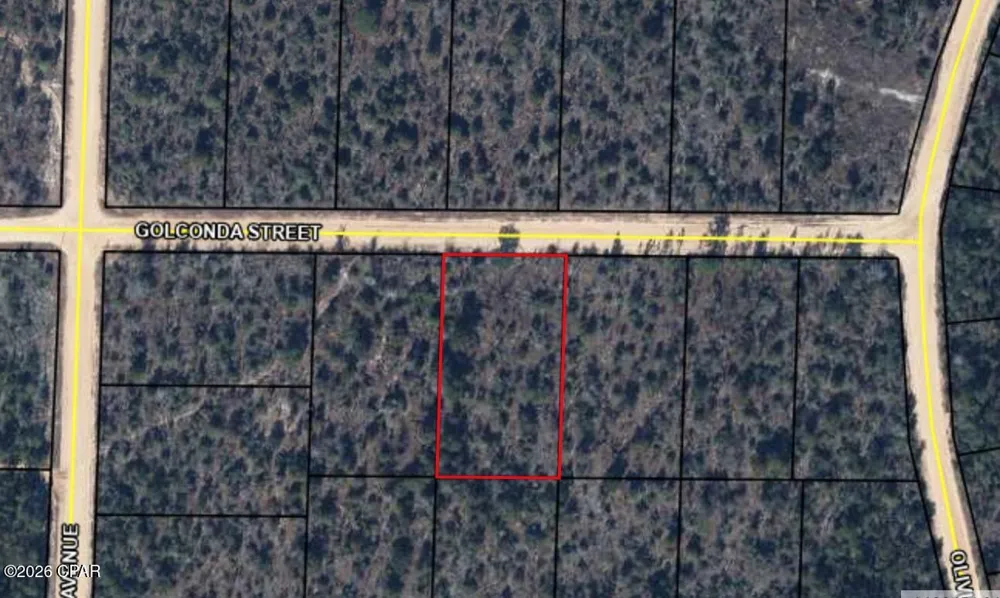 Golconda Street Alford, FL 32420