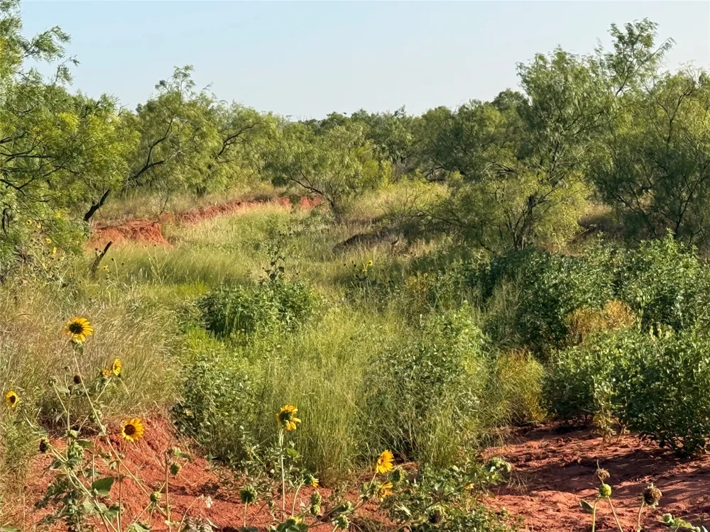 TR 7 CR 177 Ovalo, TX 79541