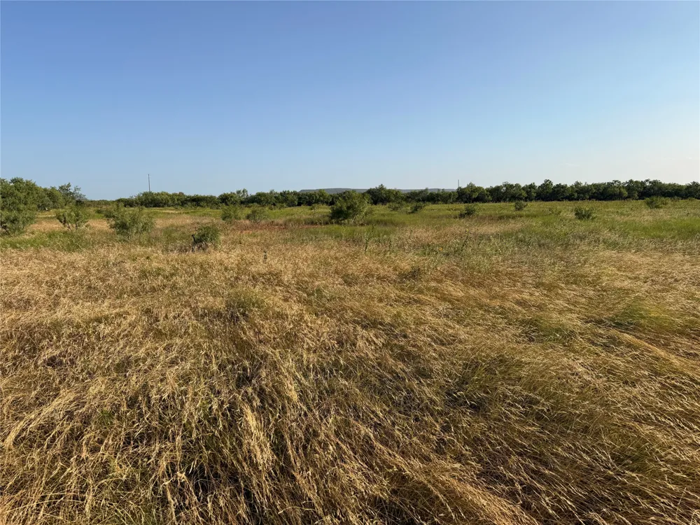 TR 7 CR 177 Ovalo, TX 79541
