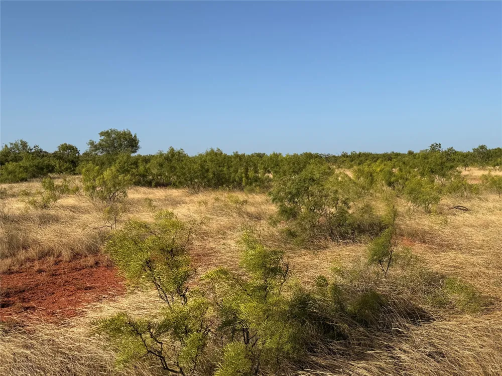 TR 7 CR 177 Ovalo, TX 79541