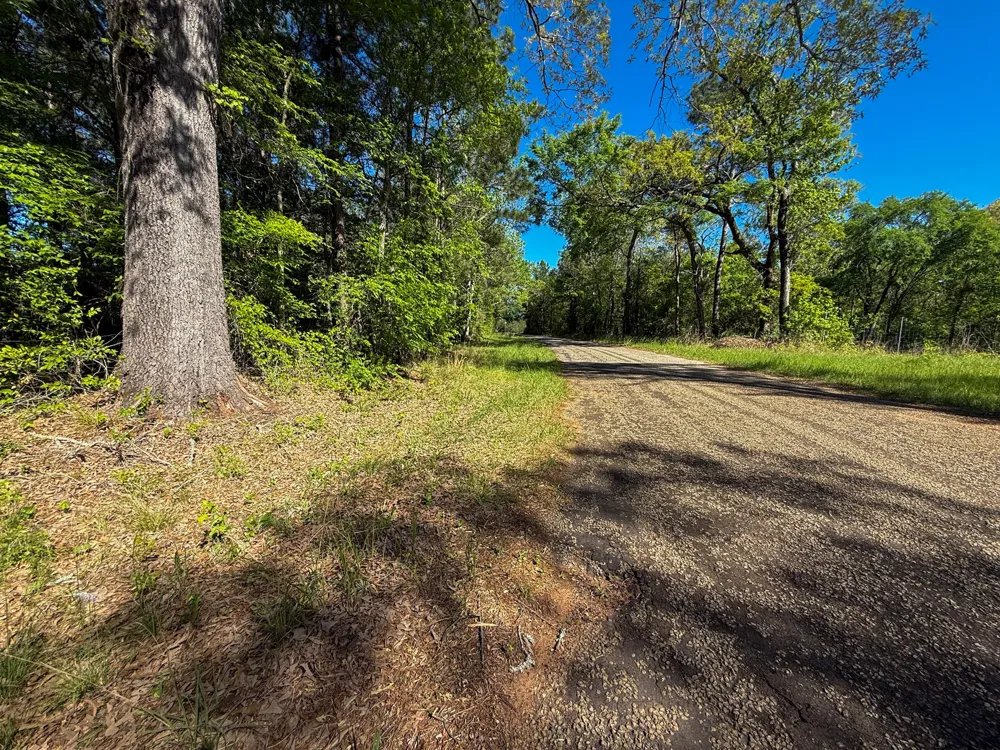494 CR 4403 Jacksonville, TX 75766