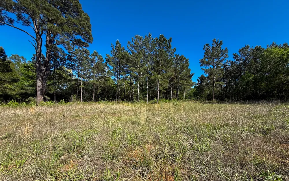 494 CR 4403 Jacksonville, TX 75766