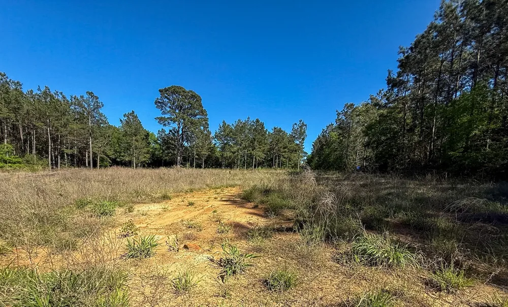 494 CR 4403 Jacksonville, TX 75766