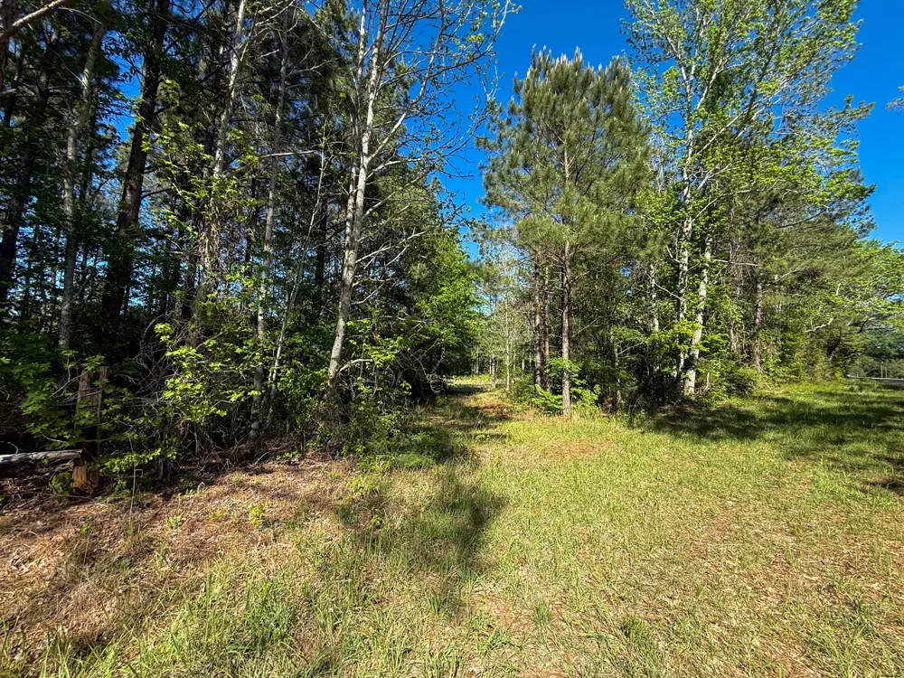 494 CR 4403 Jacksonville, TX 75766