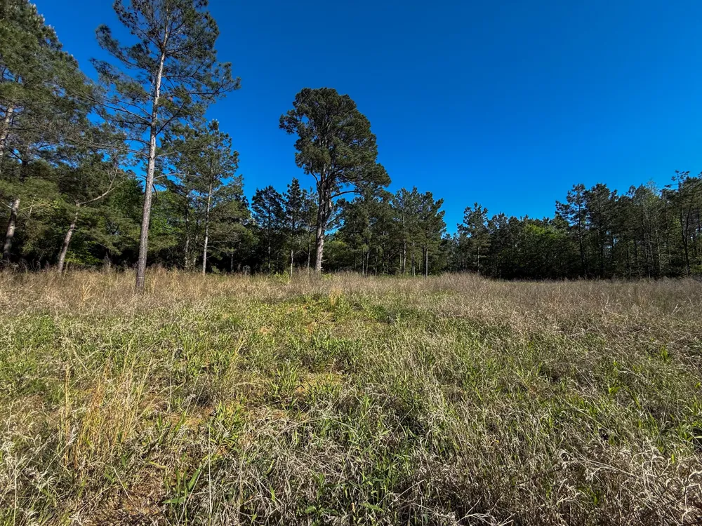 494 CR 4403 Jacksonville, TX 75766