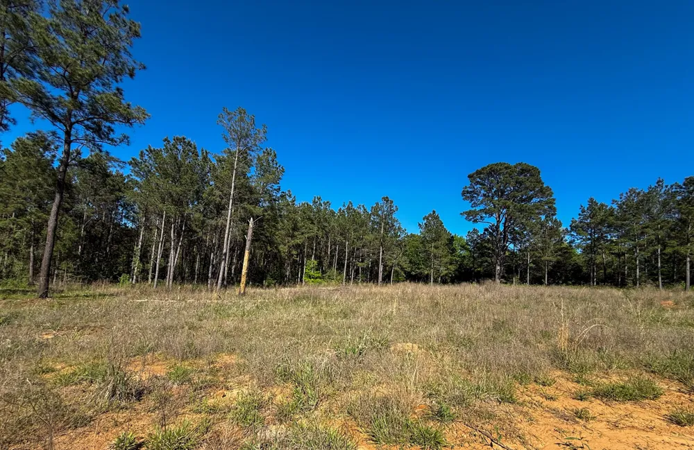 494 CR 4403 Jacksonville, TX 75766