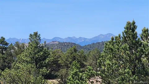 161 Ponderosa Lane