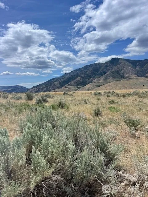 0 Lot 1,   Bill Shaw Road Pateros, WA 98846