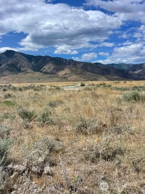 0 Lot 1,   Bill Shaw Road Pateros, WA 98846