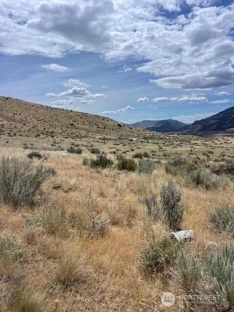 0 Lot 1,   Bill Shaw Road Pateros, WA 98846