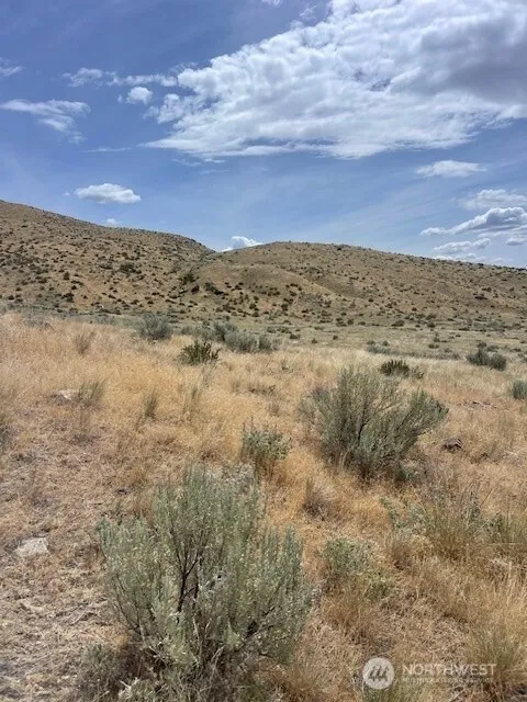 0 Lot 1,   Bill Shaw Road Pateros, WA 98846
