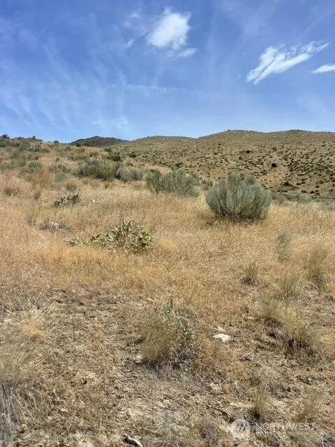0 Lot 1,   Bill Shaw Road Pateros, WA 98846