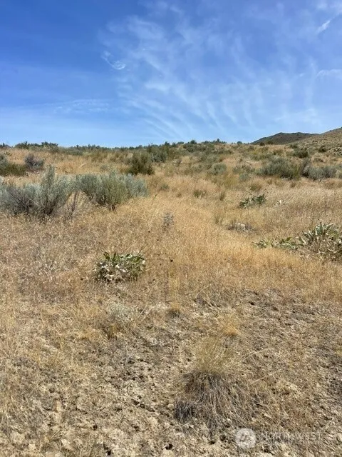 0 Lot 1,   Bill Shaw Road Pateros, WA 98846