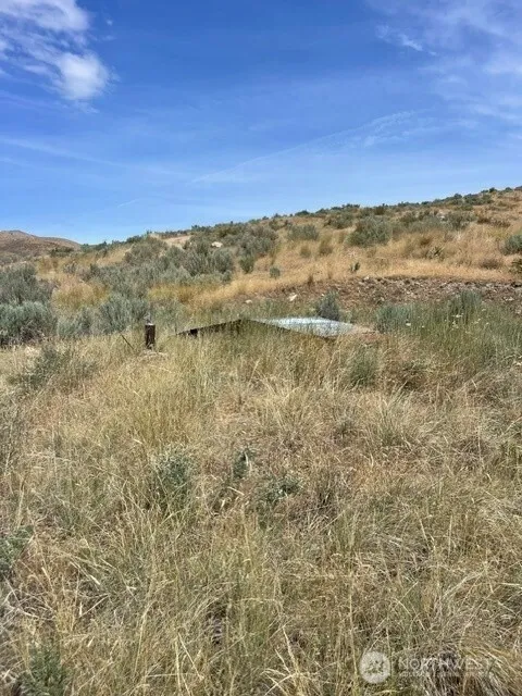 0 Lot 1,   Bill Shaw Road Pateros, WA 98846