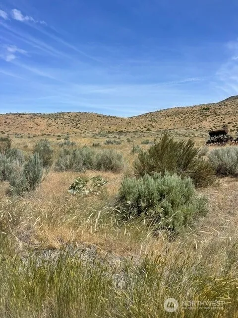 0 Lot 1,   Bill Shaw Road Pateros, WA 98846