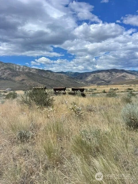 410 LOT 2 Bill Shaw Road Pateros, WA 98846