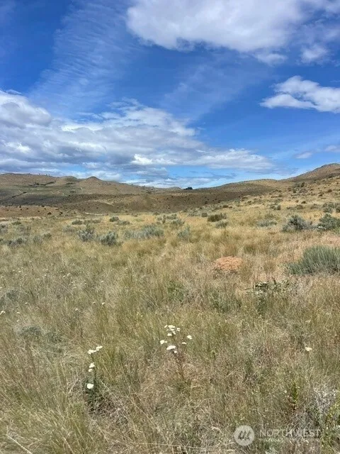 410 LOT 2 Bill Shaw Road Pateros, WA 98846