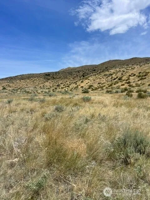410 LOT 2 Bill Shaw Road Pateros, WA 98846