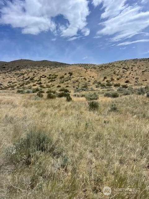 410 LOT 2 Bill Shaw Road Pateros, WA 98846