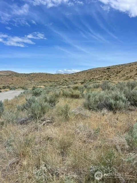 410 LOT 2 Bill Shaw Road Pateros, WA 98846