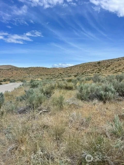 410 LOT 2 Bill Shaw Road Pateros, WA 98846