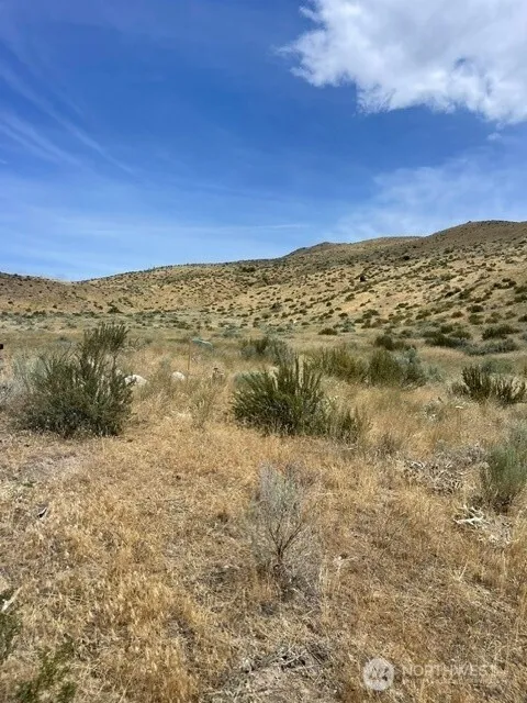 410 LOT 2 Bill Shaw Road Pateros, WA 98846