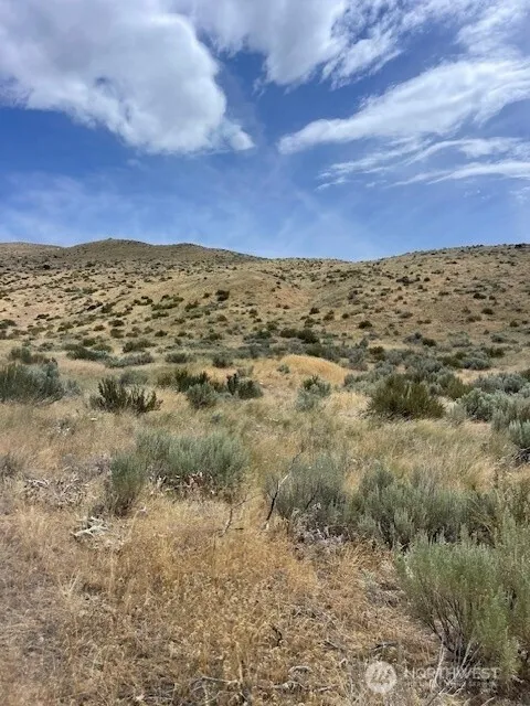 410 LOT 2 Bill Shaw Road Pateros, WA 98846