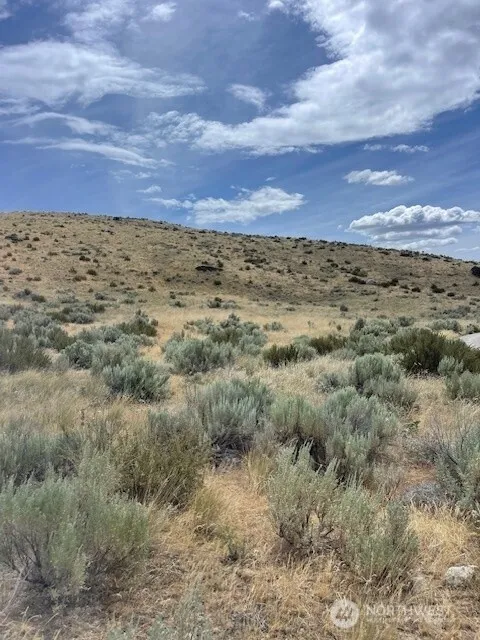 410 LOT 2 Bill Shaw Road Pateros, WA 98846