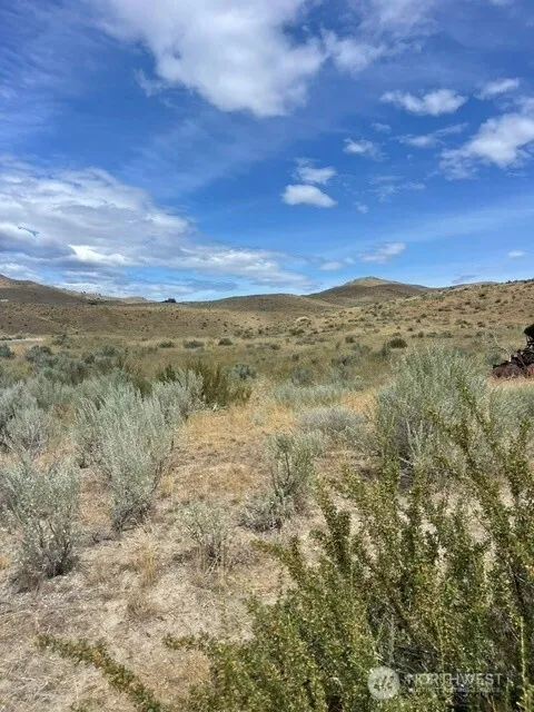 410 LOT 2 Bill Shaw Road Pateros, WA 98846