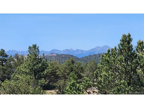 161 Ponderosa Lane