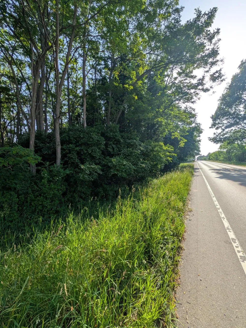 Merkey Rd #6 Manistee, MI 49660