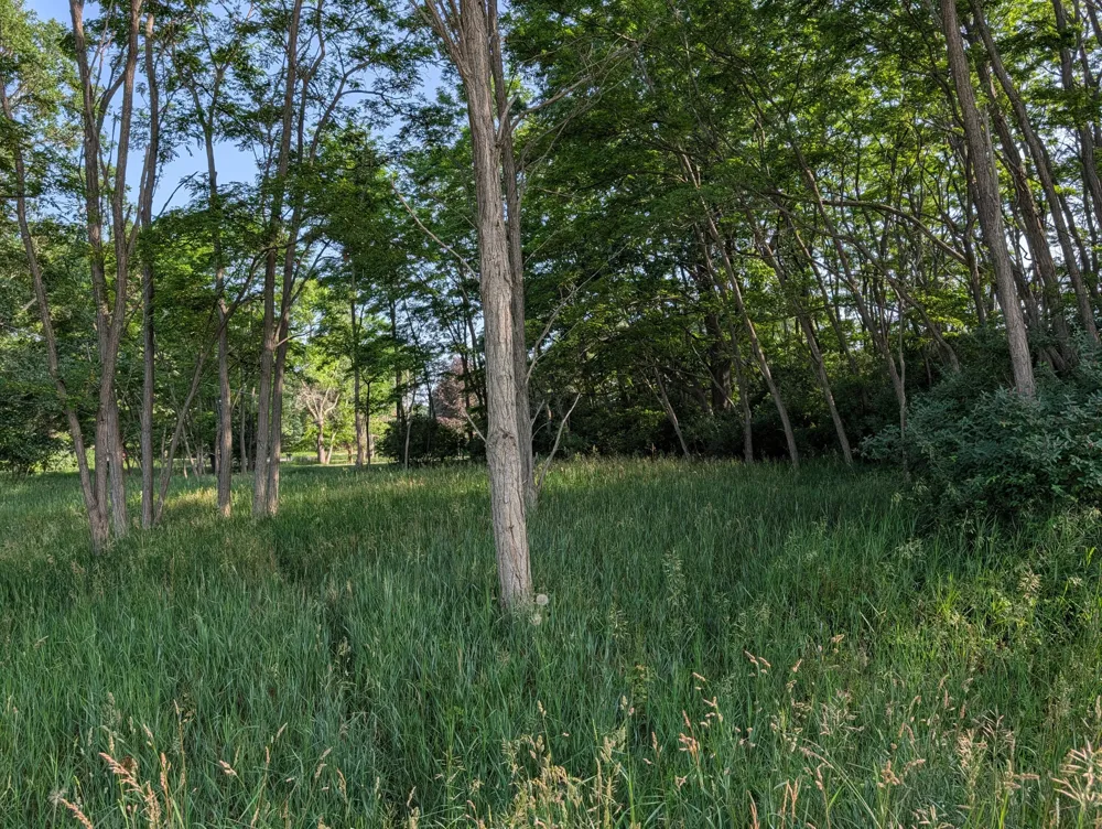 Merkey Rd #6 Manistee, MI 49660