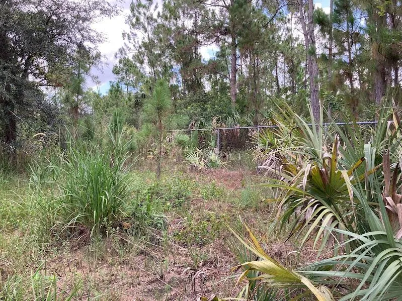 4421 24TH AVENUE SE Naples, FL 34117