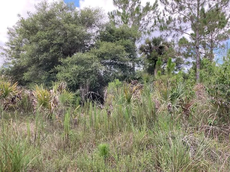4421 24TH AVENUE SE Naples, FL 34117