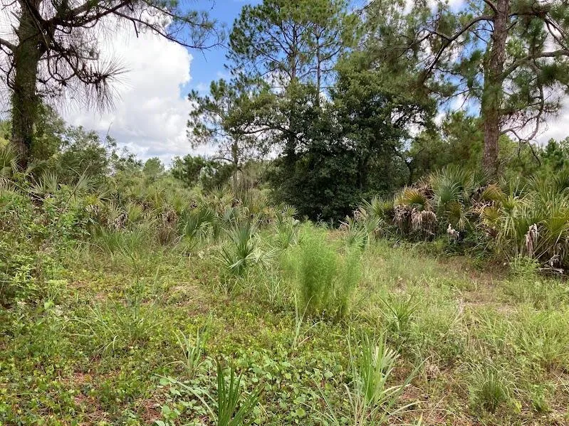 4421 24TH AVENUE SE Naples, FL 34117