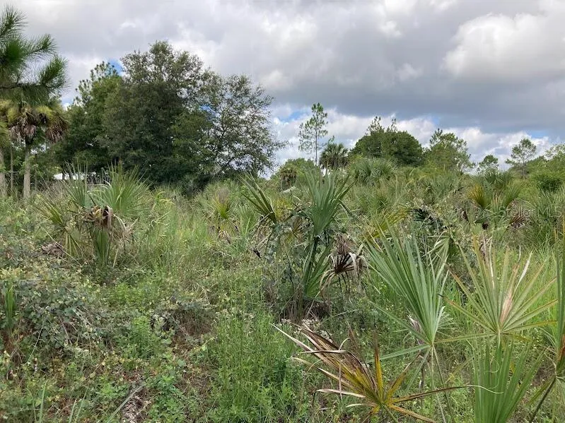 4421 24TH AVENUE SE Naples, FL 34117