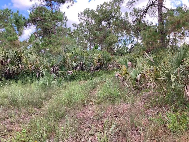 4421 24TH AVENUE SE Naples, FL 34117
