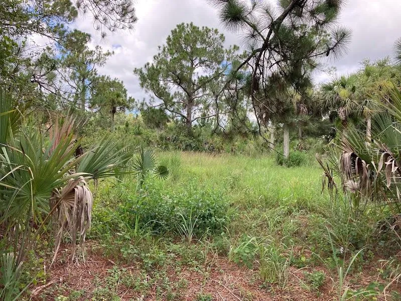 4421 24TH AVENUE SE Naples, FL 34117