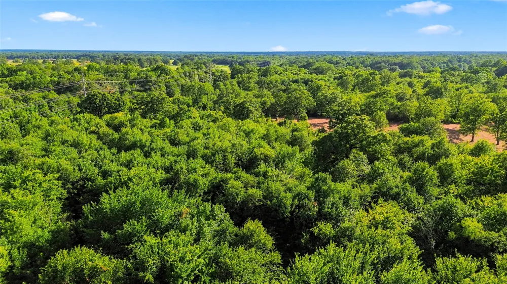 610 County Road 2040 Klondike, TX 75448